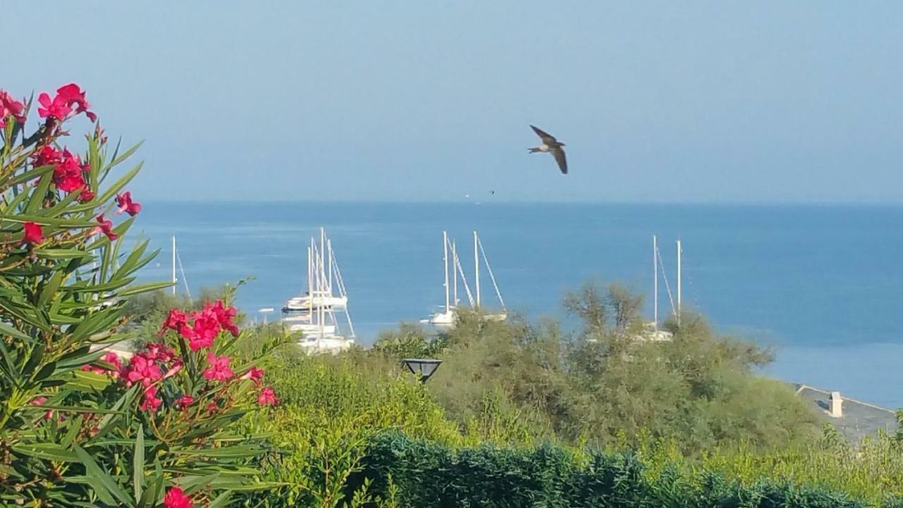 Porteo - Les Terrasses Du Port เชนตูรี ภายนอก รูปภาพ